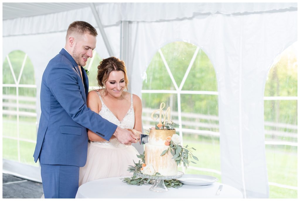 Wedding Cake at Chestnut Hill Villa White Tent wedding Reception 