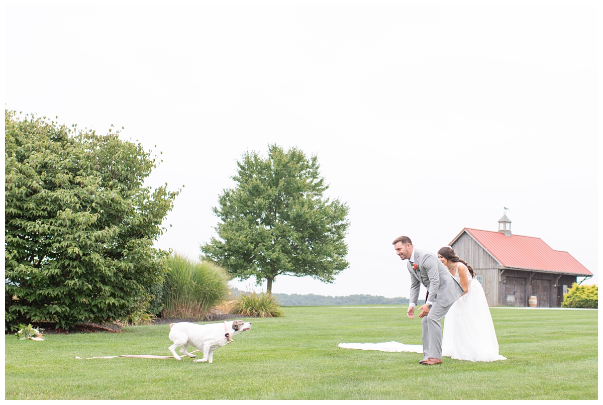 Dog sitter for weddings in Lancaster, PA