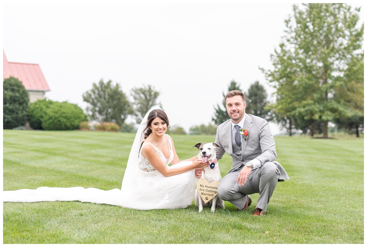 Dog in Weddings